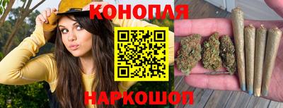 мяу мяу мука Будённовск