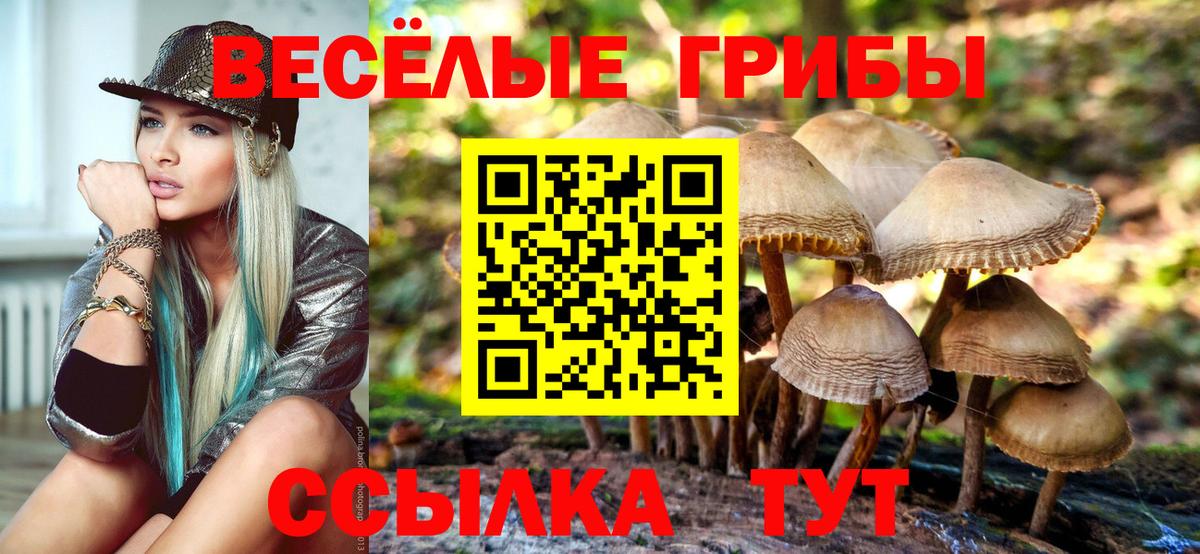 Псилоцибиновые грибы GOLDEN TEACHER  как найти   Тара  Вход с VPN 